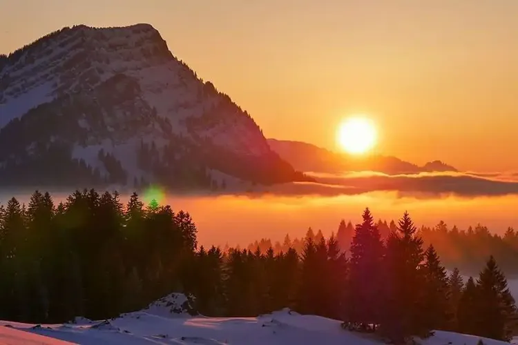 Ladies Appenzell