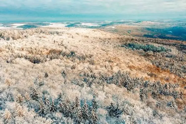 Ladies Main-Taunus-Kreis