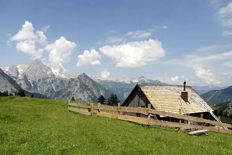 Ladies Oberösterreich