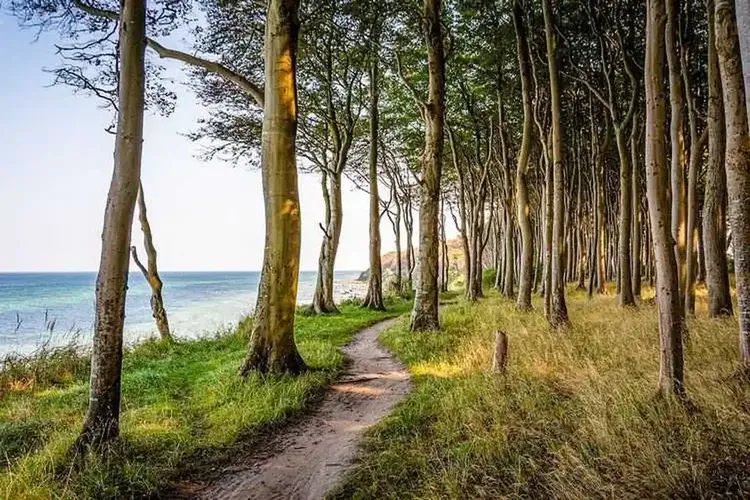 Ladies Ostsee